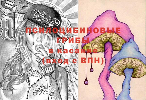 МДПВ Нефтегорск